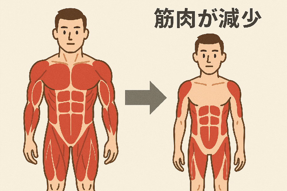 筋トレ効果を減少させる5つの行為：科学的エビデンスに基づく解説